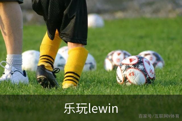 乐玩lewin